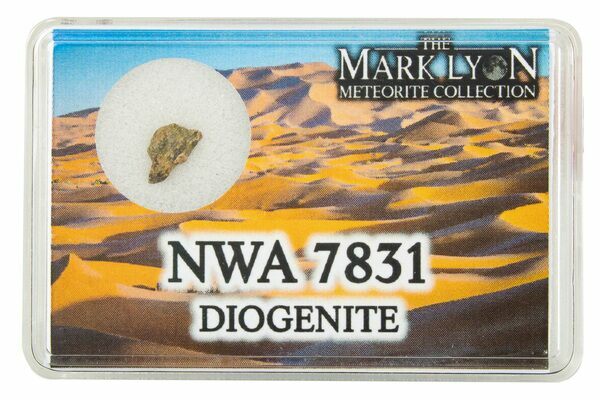 Diogenite Meteorite Fragment with Case - NWA 7831 For Sale